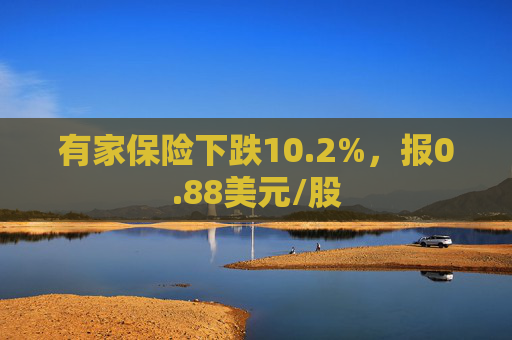 有家保险下跌10.2%，报0.88美元/股