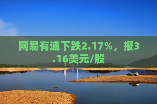 网易有道下跌2.17%，报3.16美元/股