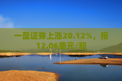 一盈证券上涨20.12%，报12.06美元/股