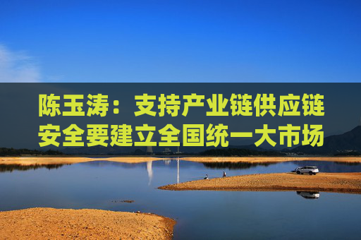 陈玉涛：支持产业链供应链安全要建立全国统一大市场，实现国内国际双循环