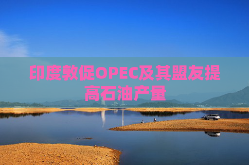 印度敦促OPEC及其盟友提高石油产量