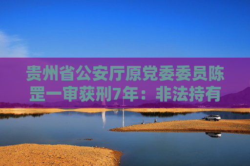 贵州省公安厅原党委委员陈罡一审获刑7年：非法持有5支枪支及732枚弹药