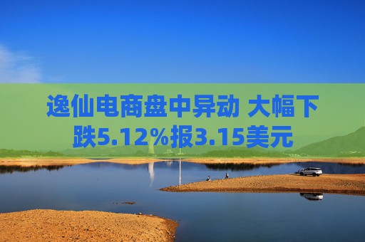 逸仙电商盘中异动 大幅下跌5.12%报3.15美元