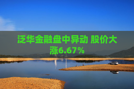 泛华金融盘中异动 股价大涨6.67%