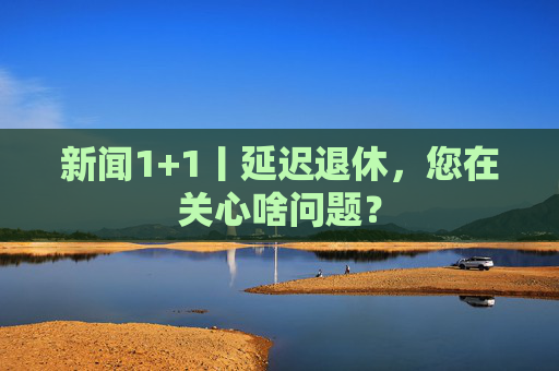 新闻1+1丨延迟退休，您在关心啥问题？