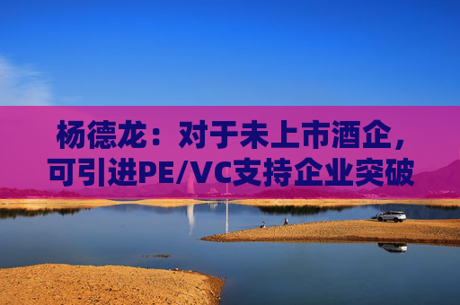 杨德龙：对于未上市酒企，可引进PE/VC支持企业突破难关