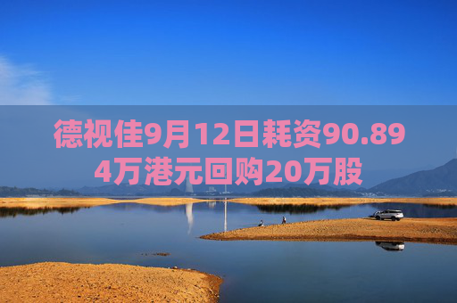 德视佳9月12日耗资90.894万港元回购20万股