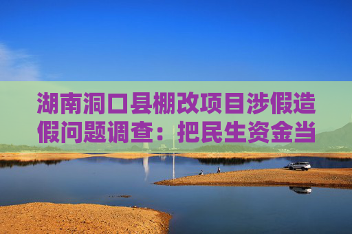 湖南洞口县棚改项目涉假造假问题调查：把民生资金当“唐僧肉”