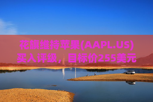 花旗维持苹果(AAPL.US)买入评级，目标价255美元