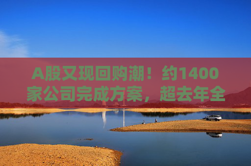 A股又现回购潮！约1400家公司完成方案，超去年全年！