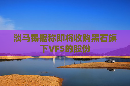 淡马锡据称即将收购黑石旗下VFS的股份