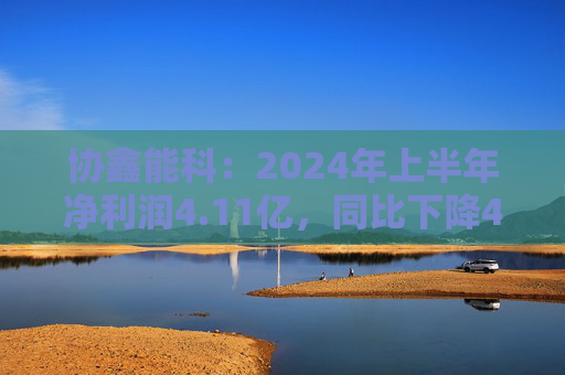 协鑫能科：2024年上半年净利润4.11亿，同比下降48.25%