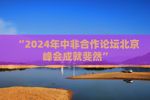 “2024年中非合作论坛北京峰会成就斐然”