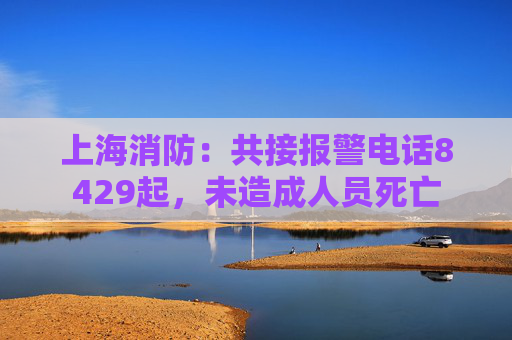 上海消防：共接报警电话8429起，未造成人员死亡