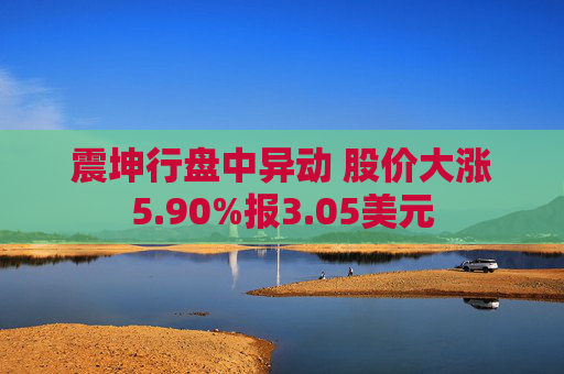 震坤行盘中异动 股价大涨5.90%报3.05美元