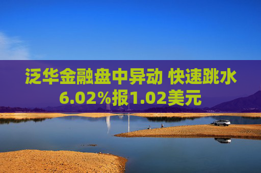 泛华金融盘中异动 快速跳水6.02%报1.02美元