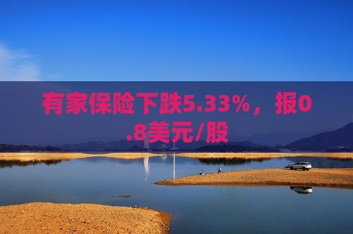 有家保险下跌5.33%，报0.8美元/股