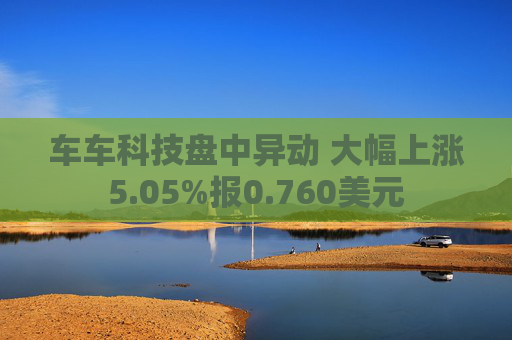 车车科技盘中异动 大幅上涨5.05%报0.760美元