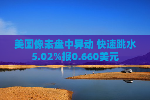 美国像素盘中异动 快速跳水5.02%报0.660美元