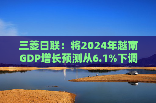 三菱日联：将2024年越南GDP增长预测从6.1%下调至5.8%