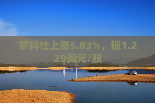 罗科仕上涨5.03%，报1.229美元/股