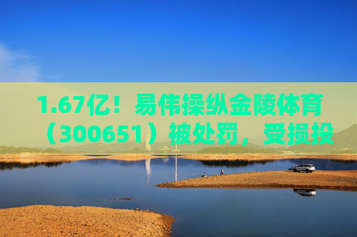 1.67亿！易伟操纵金陵体育（300651）被处罚，受损投资者能否主张索赔？