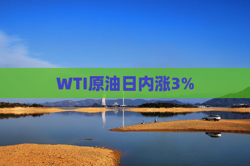 WTI原油日内涨3%