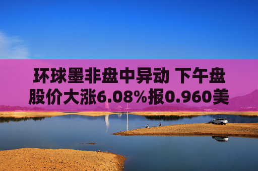 环球墨非盘中异动 下午盘股价大涨6.08%报0.960美元