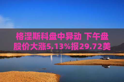 格涅斯科盘中异动 下午盘股价大涨5.13%报29.72美元