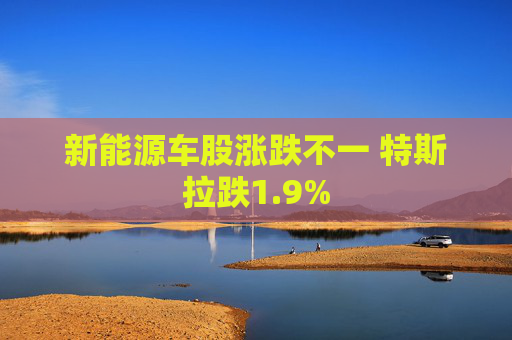 新能源车股涨跌不一 特斯拉跌1.9%