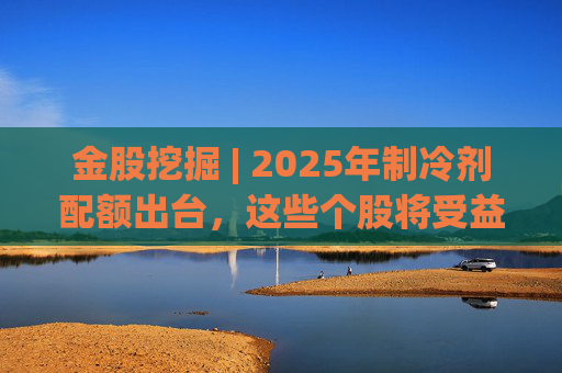 金股挖掘 | 2025年制冷剂配额出台，这些个股将受益