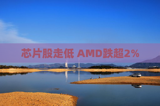 芯片股走低 AMD跌超2%