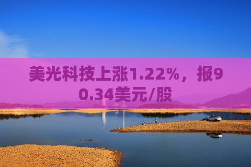 美光科技上涨1.22%，报90.34美元/股