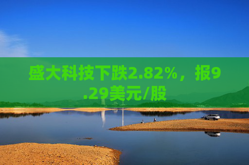 盛大科技下跌2.82%，报9.29美元/股