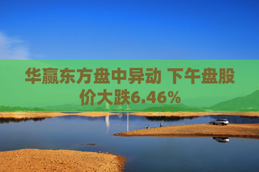 华赢东方盘中异动 下午盘股价大跌6.46%