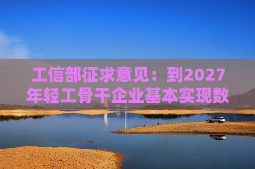 工信部征求意见：到2027年轻工骨干企业基本实现数字化改造全覆盖