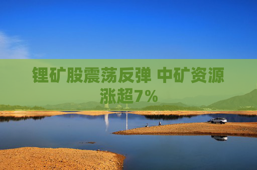 锂矿股震荡反弹 中矿资源涨超7%