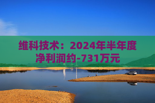 维科技术：2024年半年度净利润约-731万元