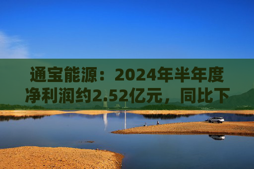 通宝能源：2024年半年度净利润约2.52亿元，同比下降36.49%