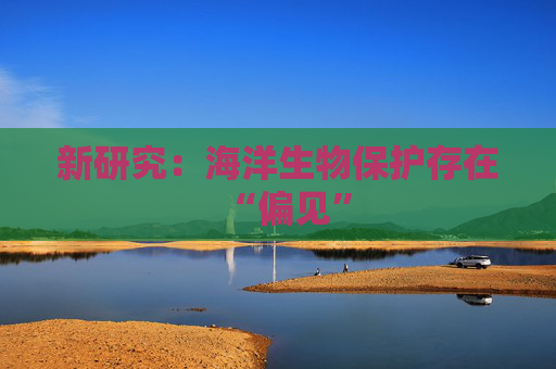 新研究：海洋生物保护存在“偏见”