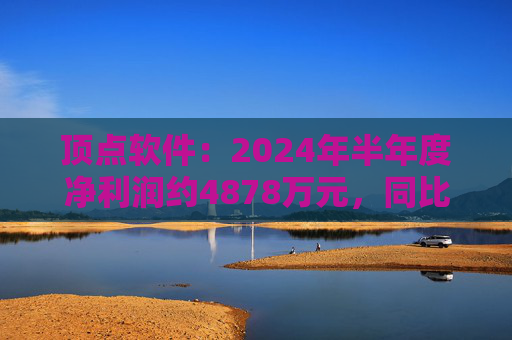 顶点软件：2024年半年度净利润约4878万元，同比下降21.11%