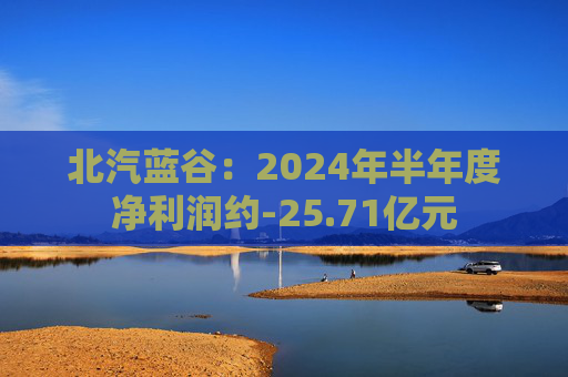 北汽蓝谷：2024年半年度净利润约-25.71亿元