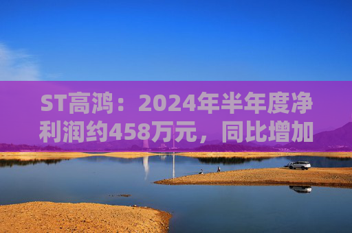 ST高鸿：2024年半年度净利润约458万元，同比增加32.72%