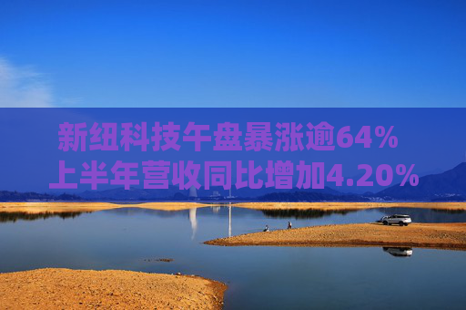 新纽科技午盘暴涨逾64% 上半年营收同比增加4.20%