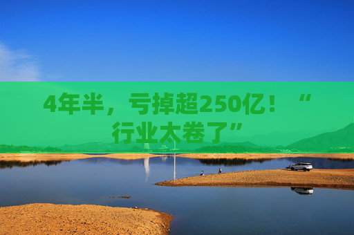 4年半，亏掉超250亿！“行业太卷了”