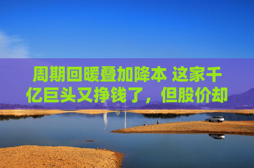 周期回暖叠加降本 这家千亿巨头又挣钱了，但股价却稍显乏力｜财报解读