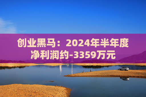 创业黑马：2024年半年度净利润约-3359万元