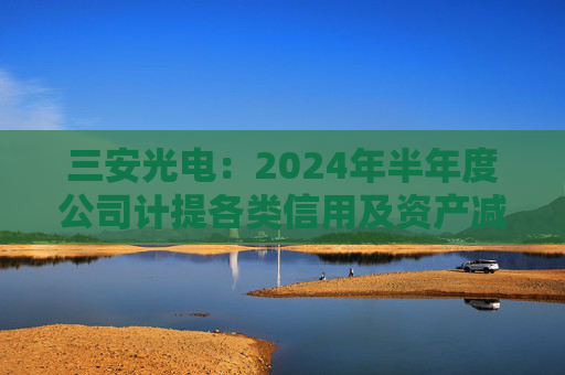 三安光电：2024年半年度公司计提各类信用及资产减值损失共计约2.09亿元