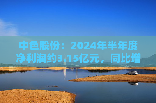 中色股份：2024年半年度净利润约3.15亿元，同比增加11.85%