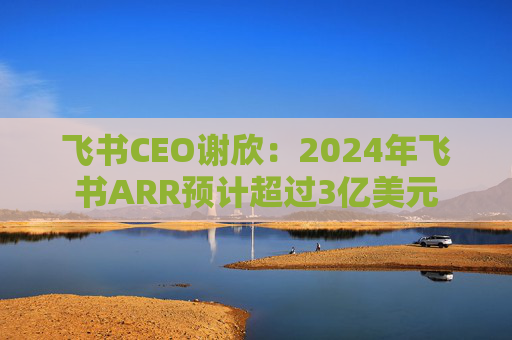 飞书CEO谢欣：2024年飞书ARR预计超过3亿美元